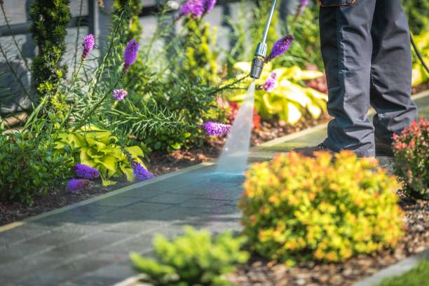 Best Pre-Holiday Cleaning  in Poquott, NY