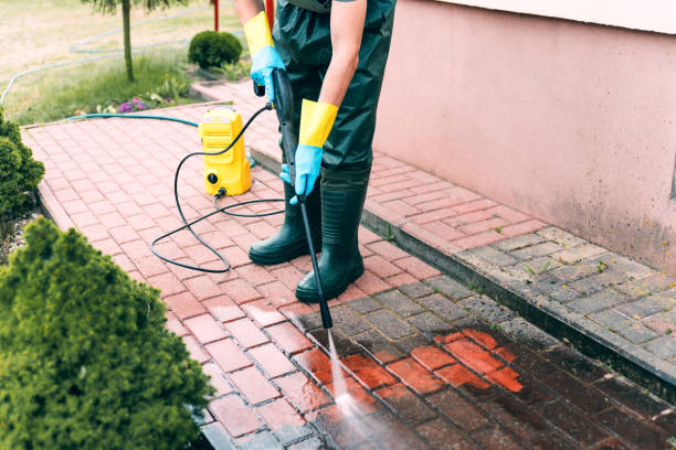 Best Dumpster Area Cleaning  in Poquott, NY